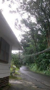 Reach Beyond Rainforest Retreat Homestay Honolulu
