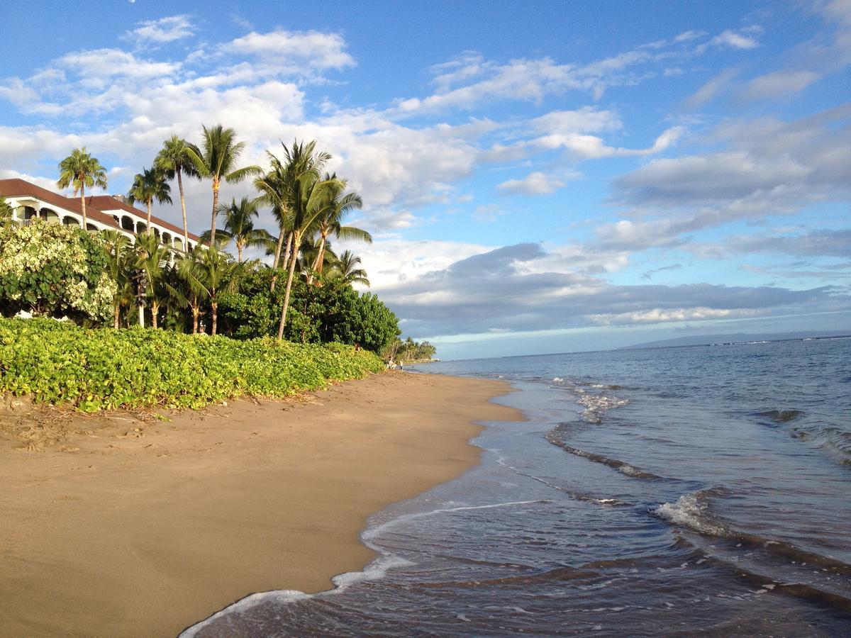 Shores Lahaina