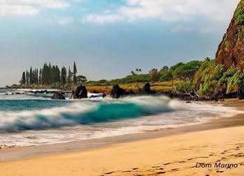 Hotel Oceanfront Cottages Hana