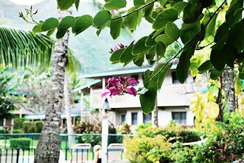 Hotel The Kauai (adults Only)