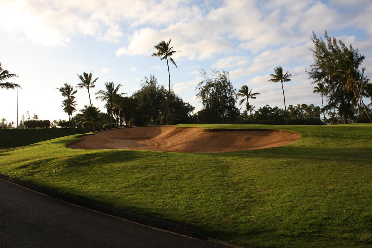 Modern, Romantic Vibes In The Tropics Kahuku