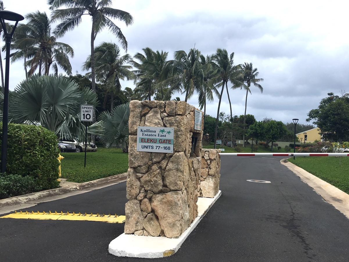 Modern, Romantic Vibes In The Tropics Kahuku