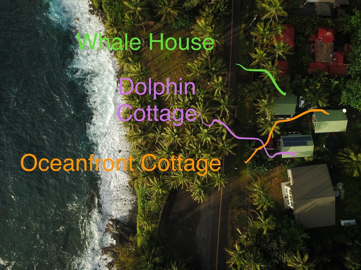 Holiday home Oceanfront Near The Kalapana Lava Flows *