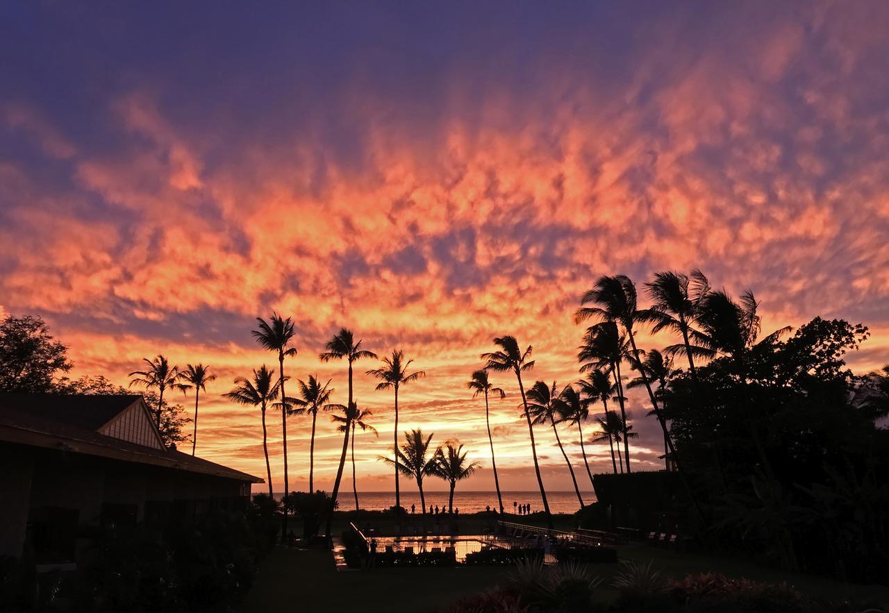 Beautiful 2 Bedroom With Panoramic Ocean Views | Oceanfront Apartment *