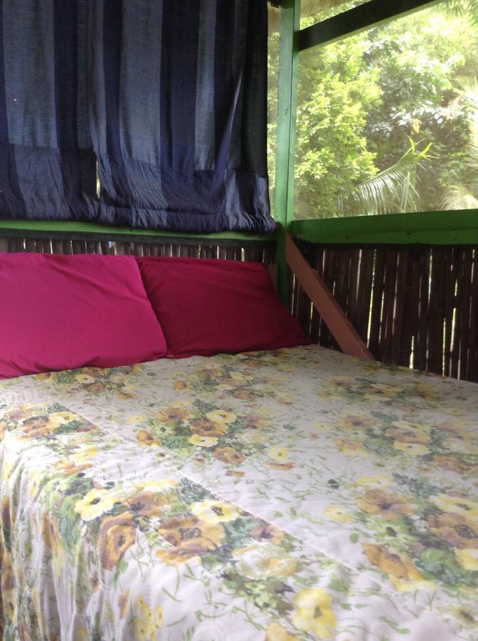 Hedonisia Hawaii Sustainable Community Lodge Pahoa