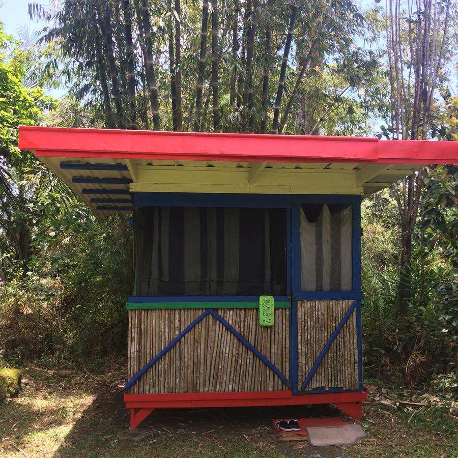 Hedonisia Hawaii Sustainable Community