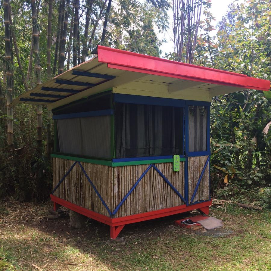 Hedonisia Hawaii Sustainable Community Lodge *