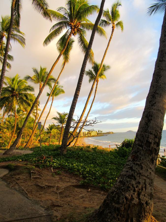 Maui-licious By The Apartment