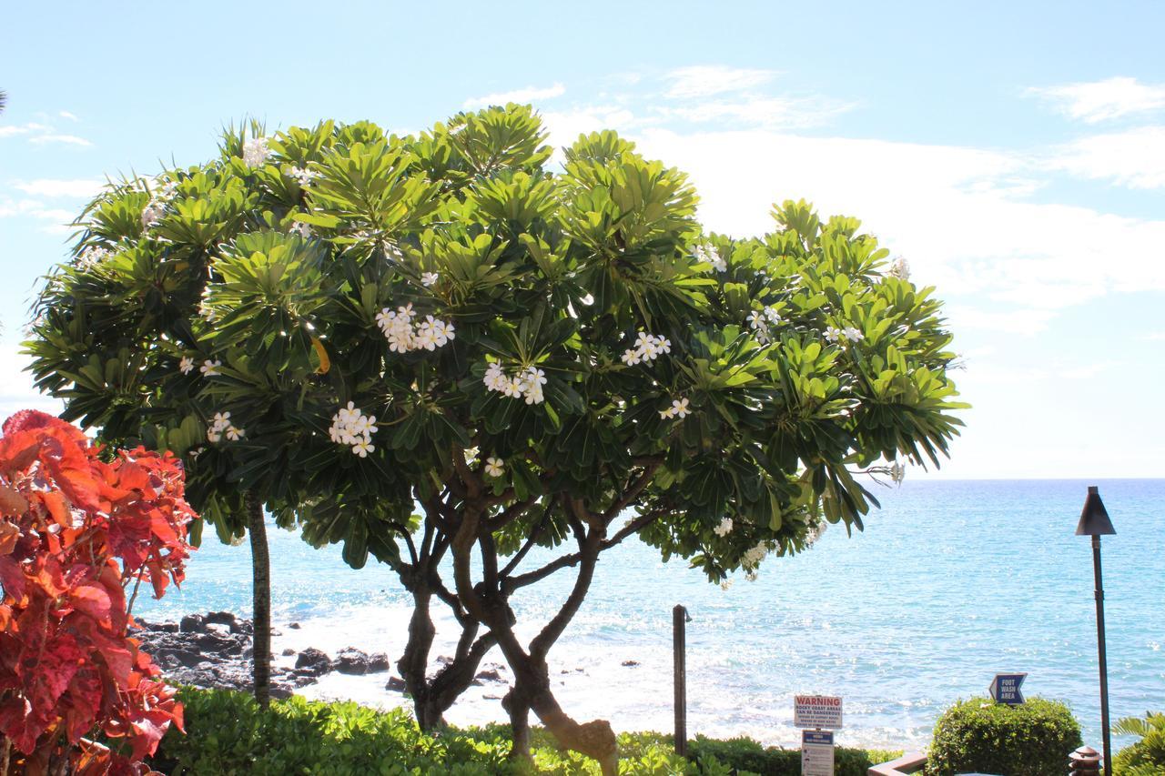 Kuleana 618 Holiday home *