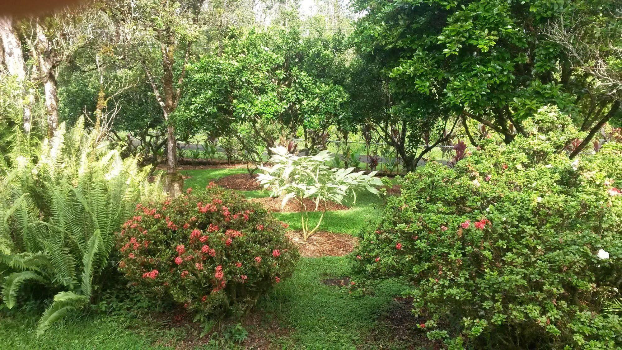 The Kimos' Ohanas Bed & Breakfast 3*