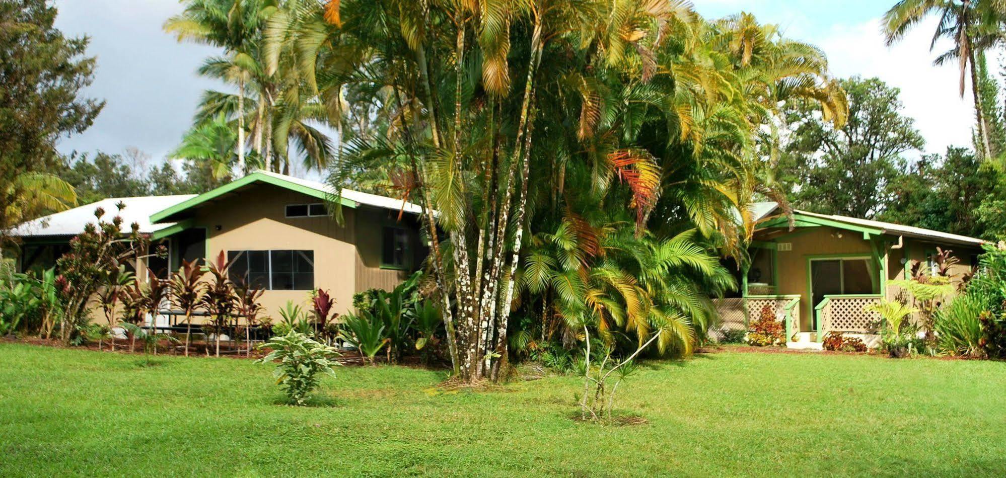 The Kimos' Ohanas Pahoa