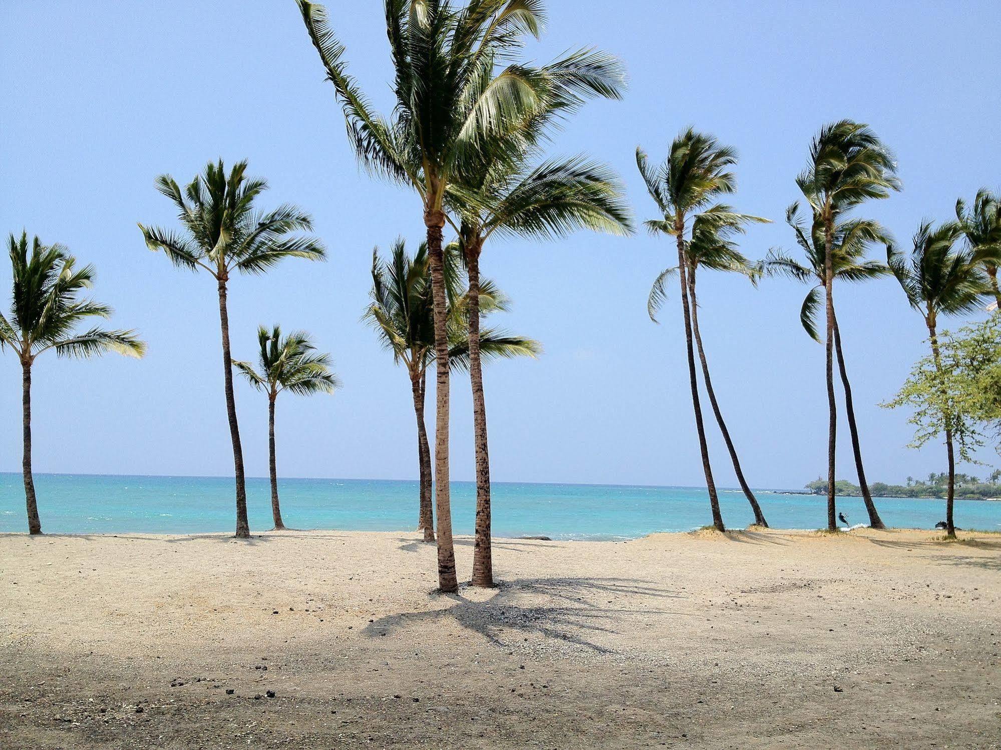 Lava Lava Club Kohala Coast