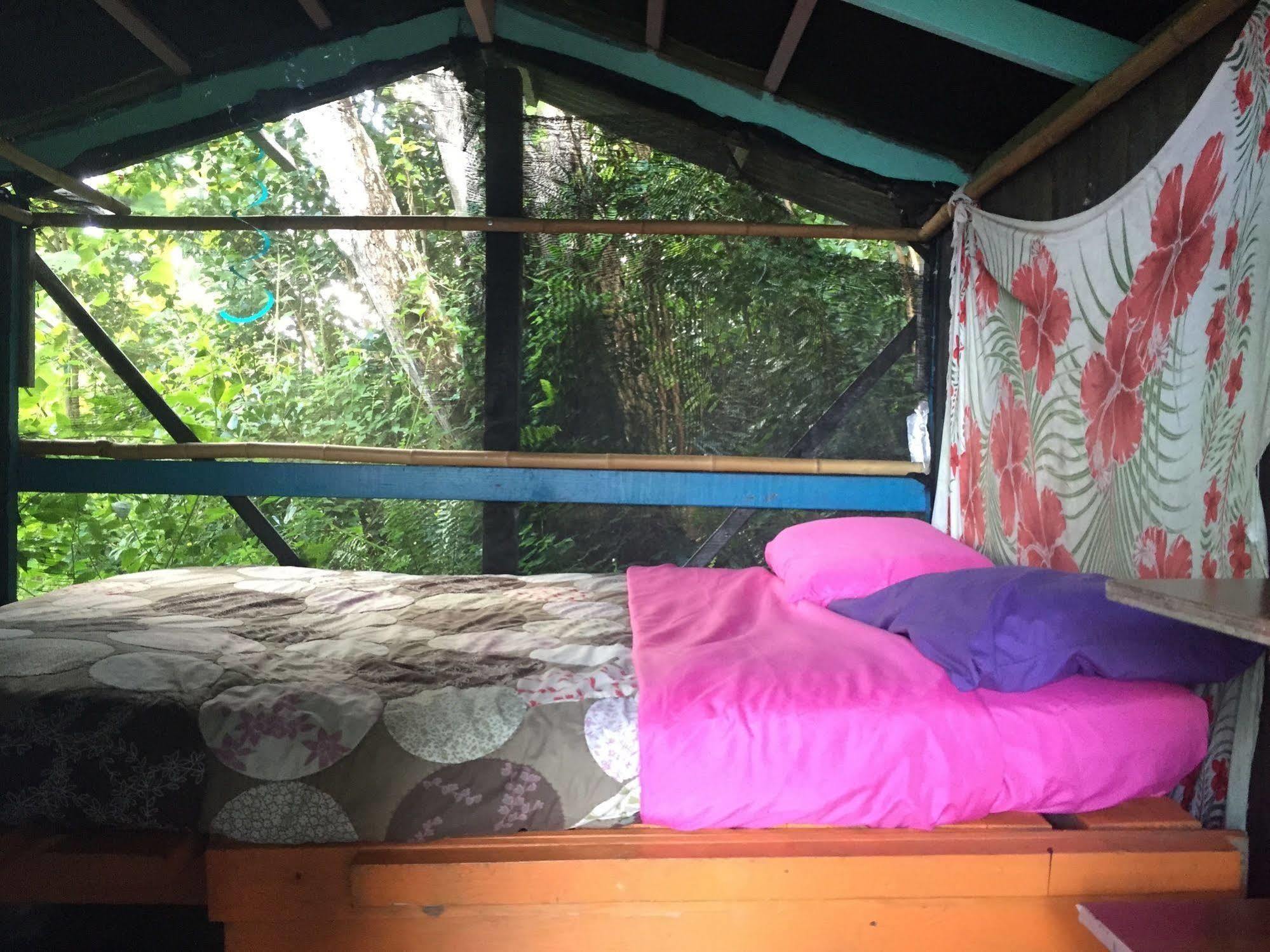Hedonisia Hawaii Sustainable Community Lodge