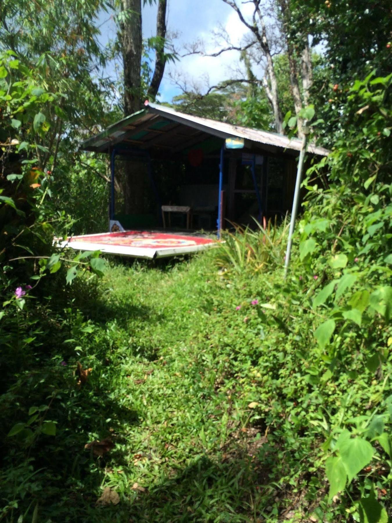 Hedonisia Hawaii Sustainable Community Lodge Pahoa