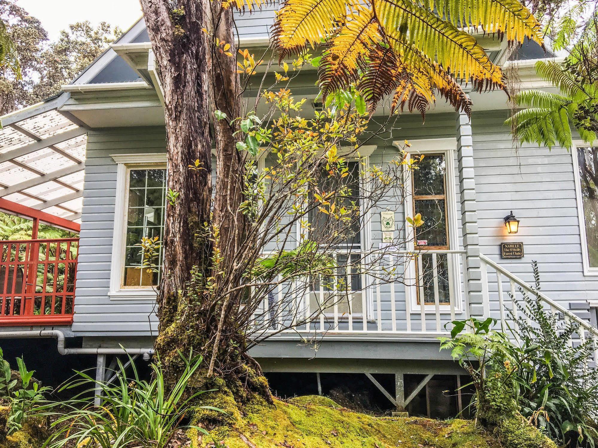 Hale Nahele Holiday home