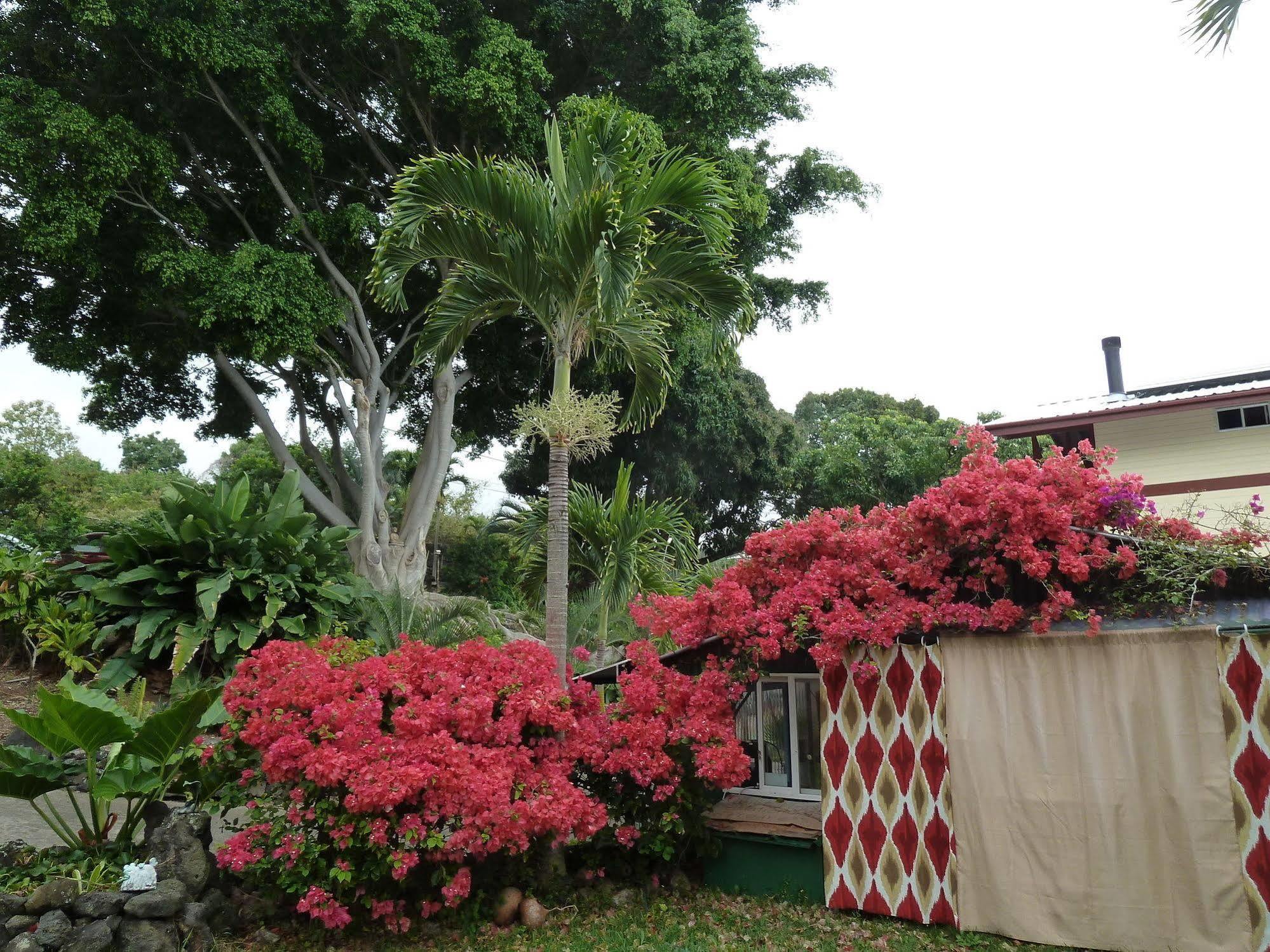 Guest house Banyan Tree Sanctuary Kalaoa