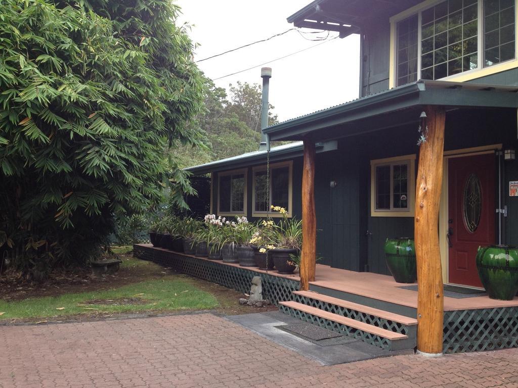 Big Tree Sanctuary Holiday home