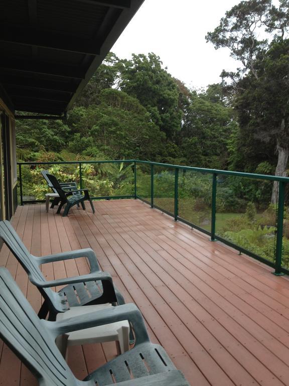 Big Tree Sanctuary Holiday home