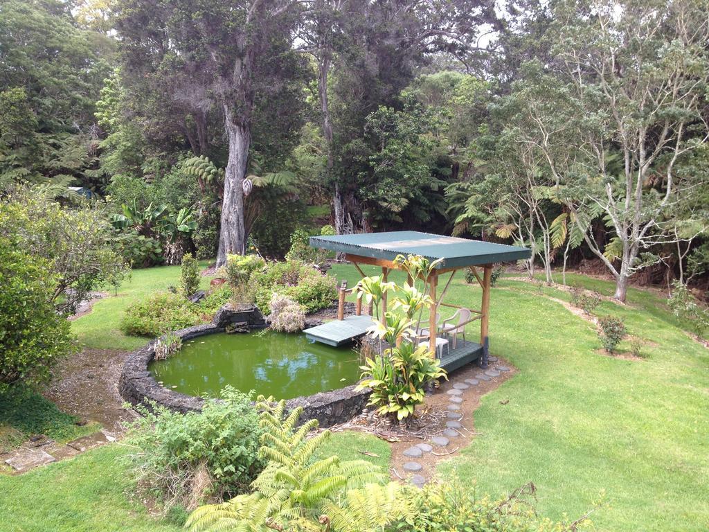 Big Tree Sanctuary *