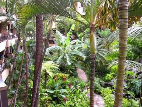 Aparthotel Aston Paki Maui 2*