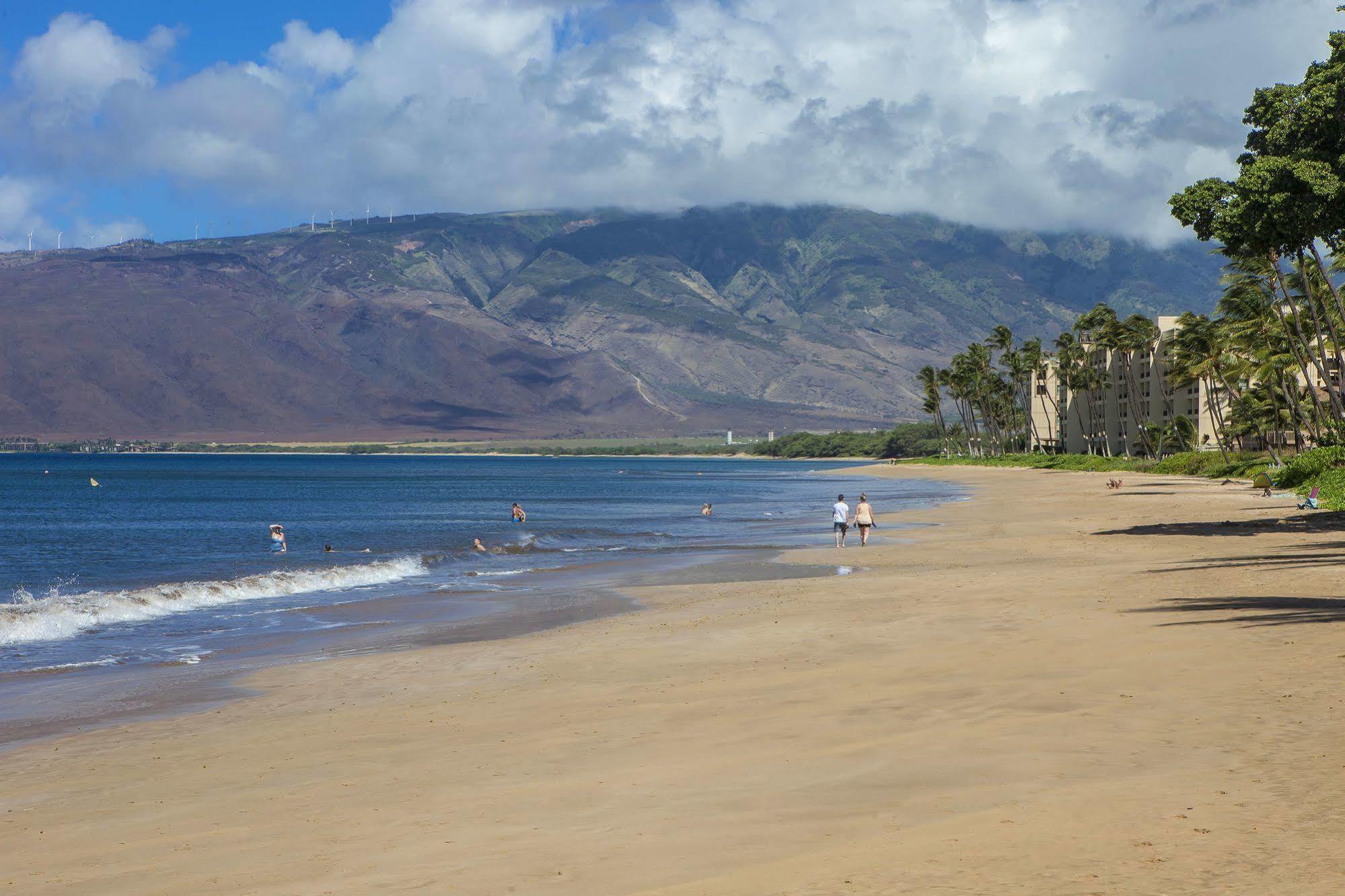 Ma'alaea Surf 4* Kihei