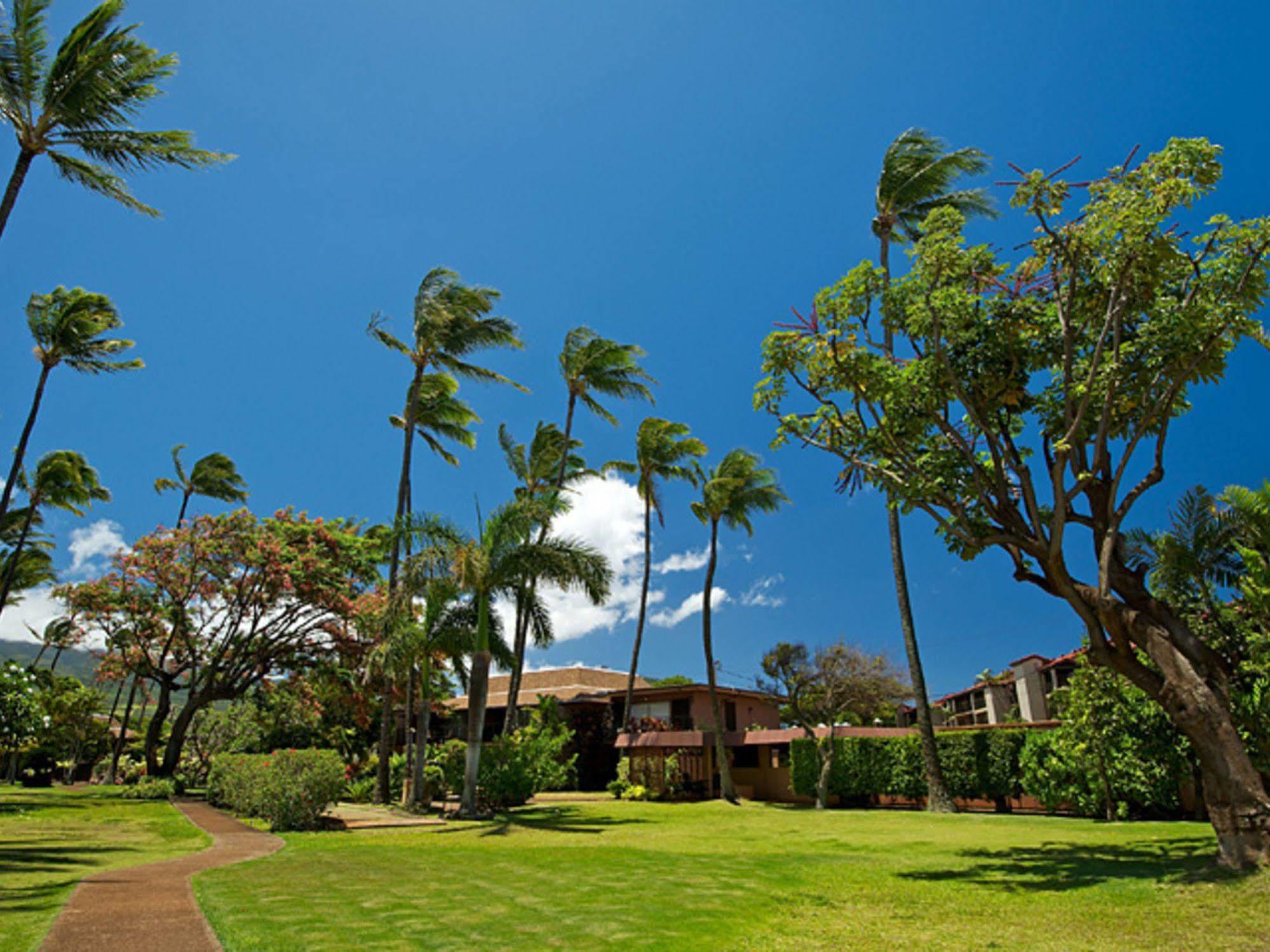 Hotel Maui Sands Napili-Honokowai