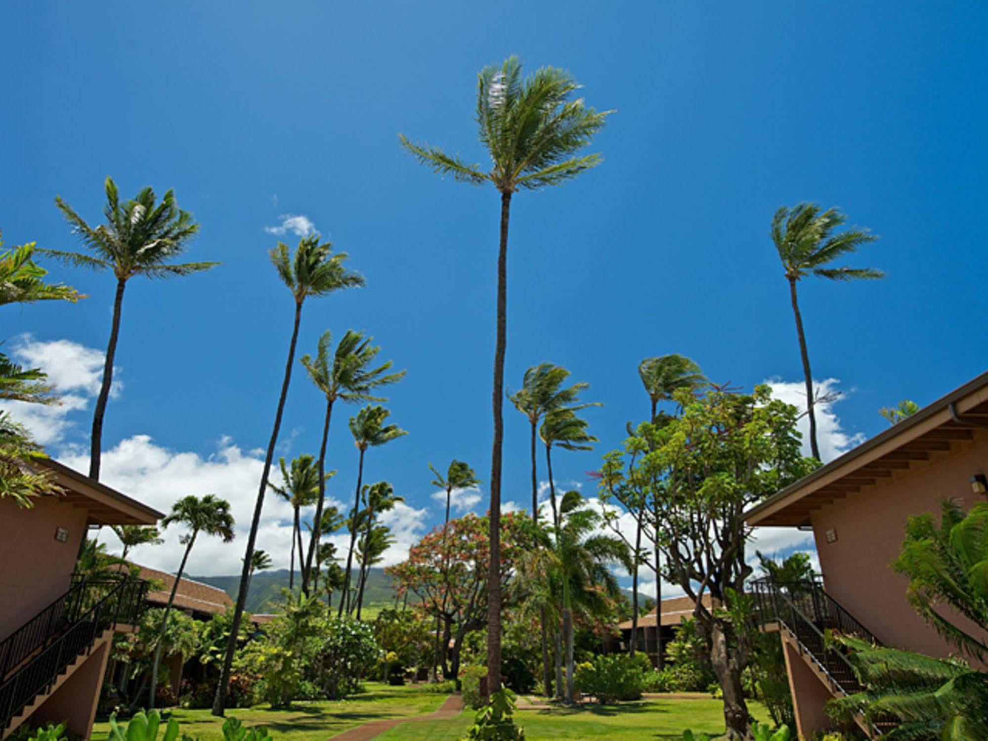 Maui Sands