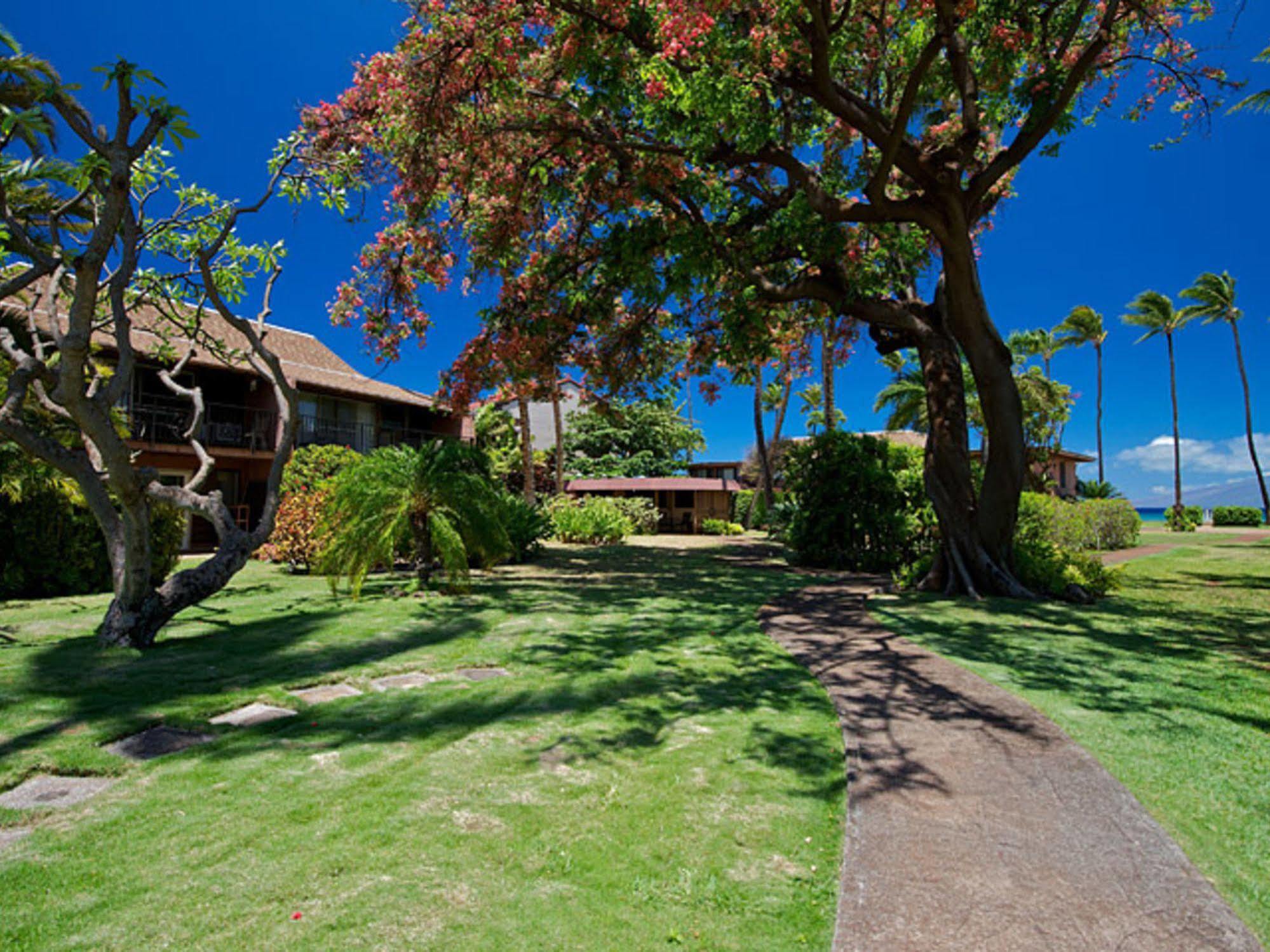 Maui Sands Napili-Honokowai