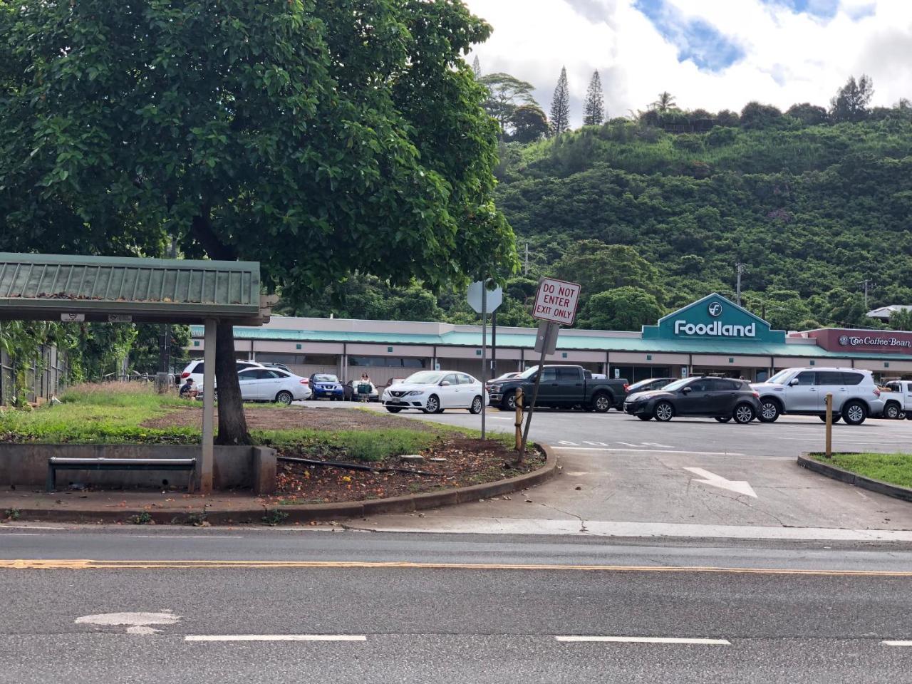 By Shark's Cove Haleiwa