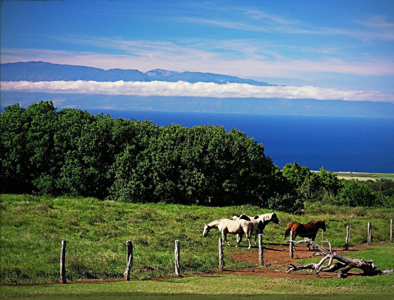 Holiday home Kohala Lodge- Vacation House *