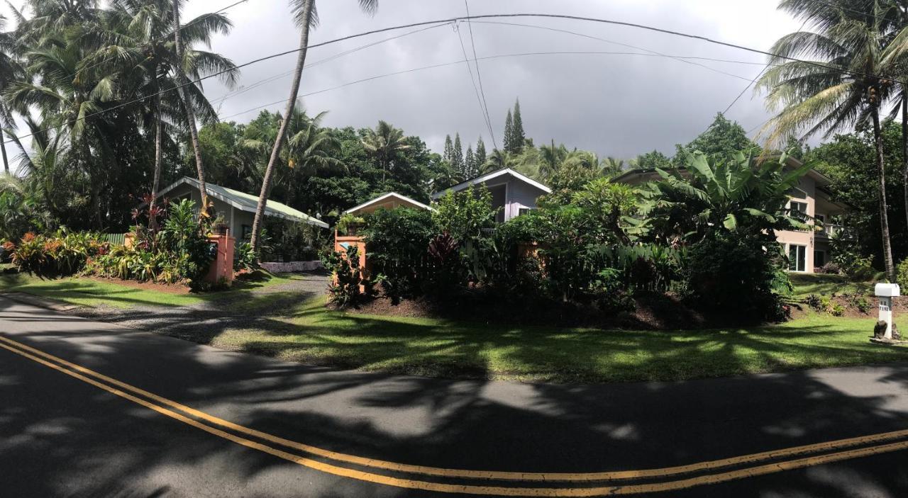 Oceanfront Near The Kalapana Lava Flows *