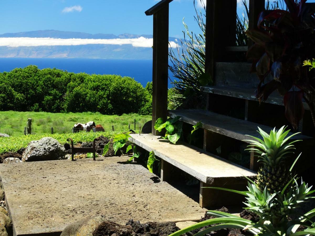 Holiday home Kohala Lodge- Vacation House