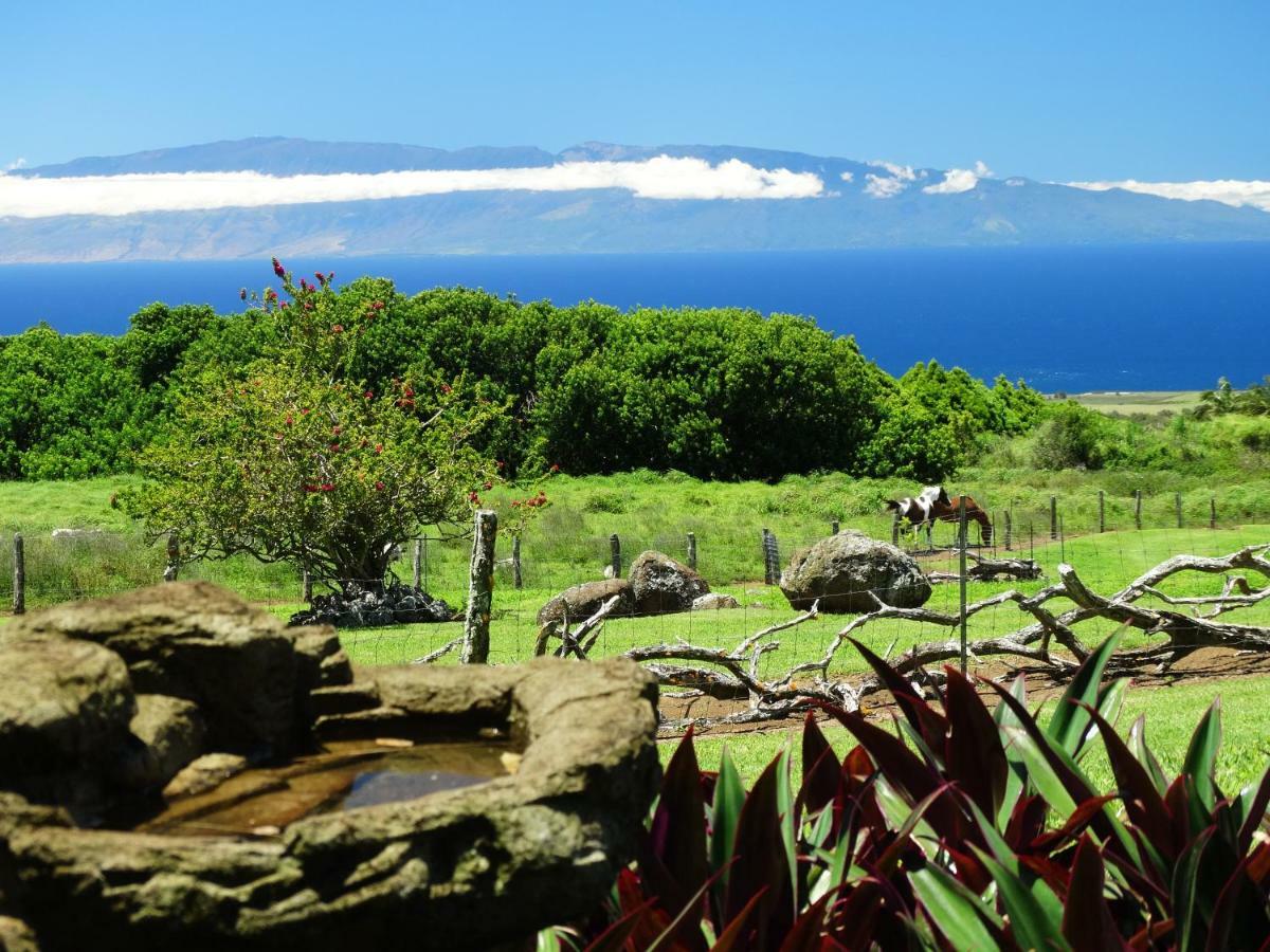 Kohala Lodge- Vacation House Holiday home Hawi