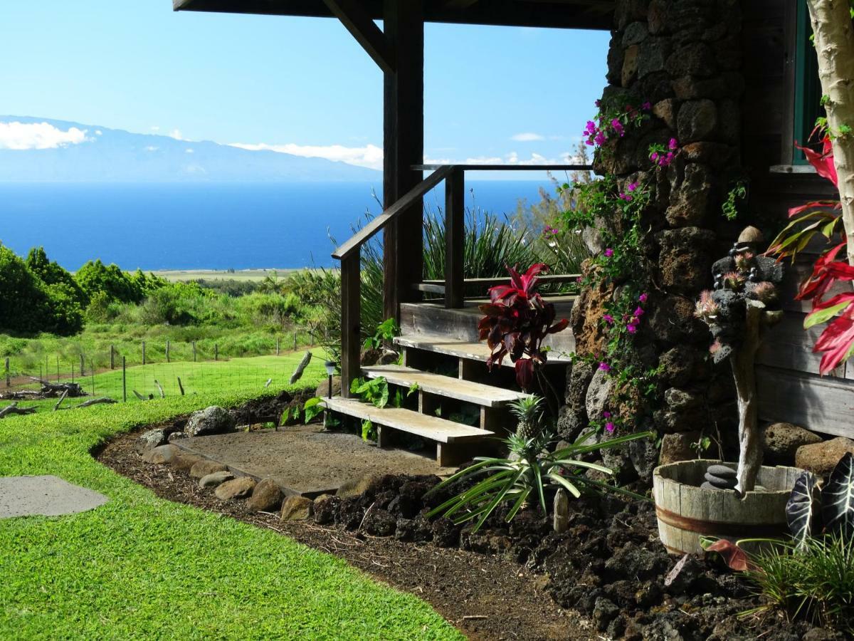 Kohala Lodge- Vacation House Holiday home *