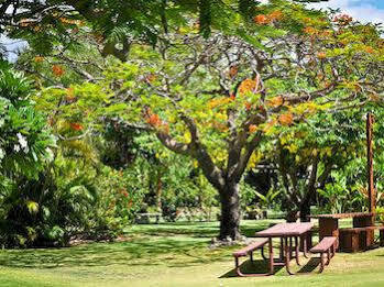 Apartment Nona Lani *