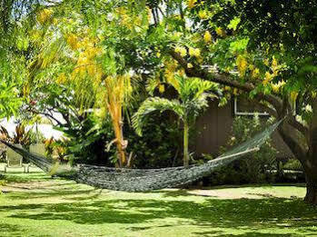 Nona Lani Apartment