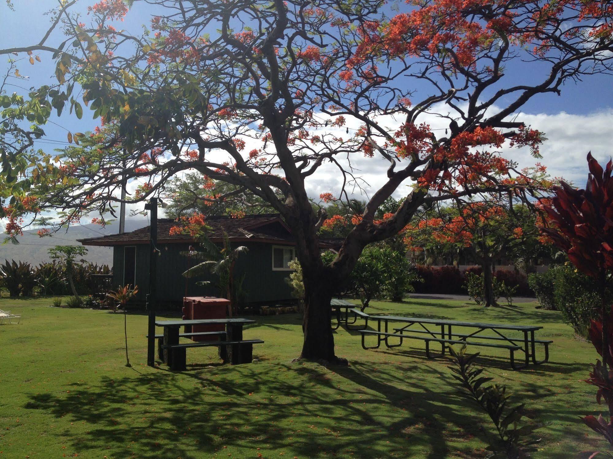 Nona Lani Kihei