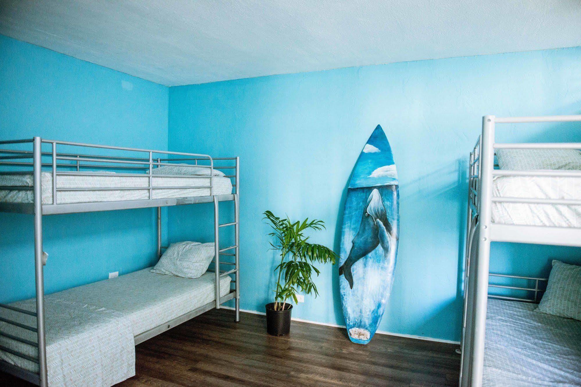 Polynesian Club Hostel *