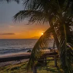 Maui Banyan Q-109