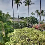 Kihei Akahi C308