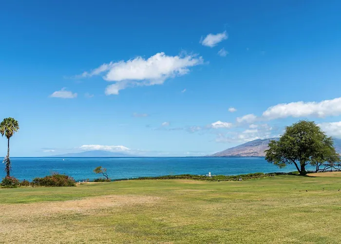 Maui Banyan Q-109