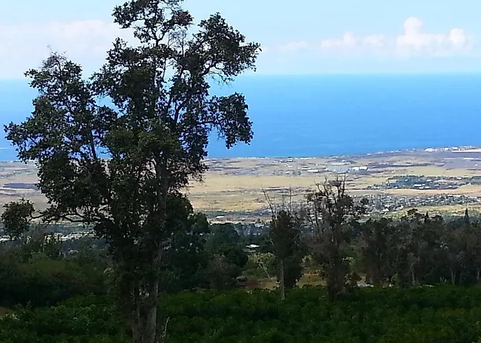 Mango Sunset Bnb Inn At Lyman Organic Kona Coffee Farms