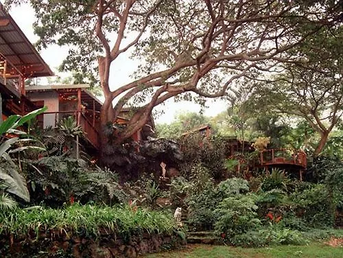Dragonfly Ranch Bed & Breakfast & Eco-Spa