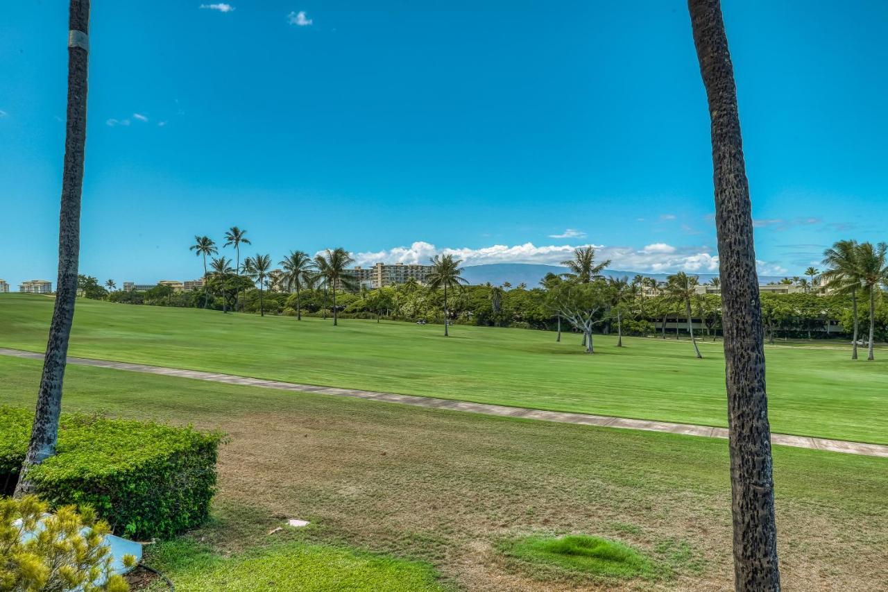 Maui Eldorado
