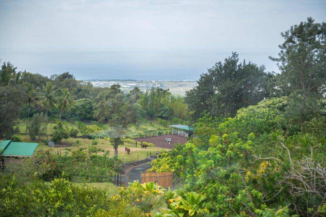 Guest house Aeolian Ranch