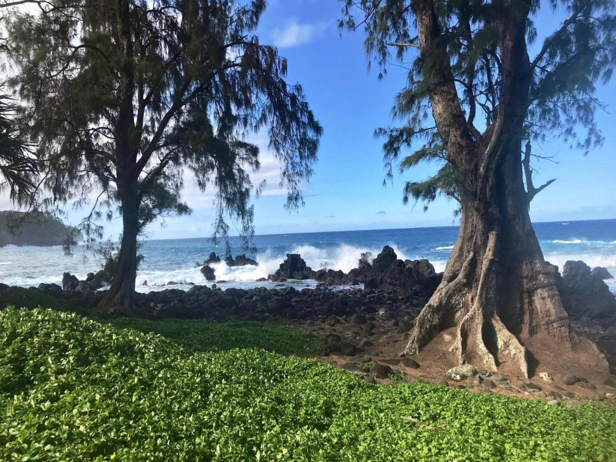 Apartment Unwind On Your Fantasy Hawaiian Vacation- 1bd/1ba In Kailua-kona, Hawaii