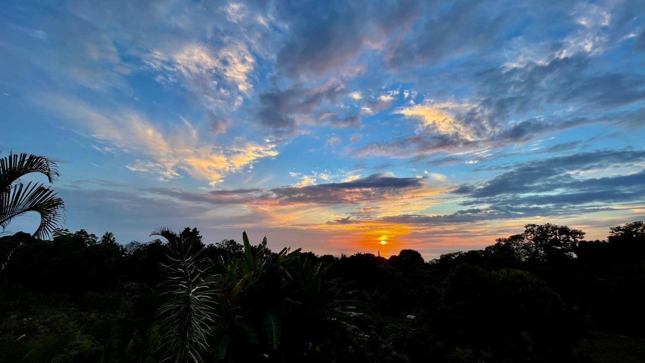 Coffee Garden Bed & Breakfast Captain Cook