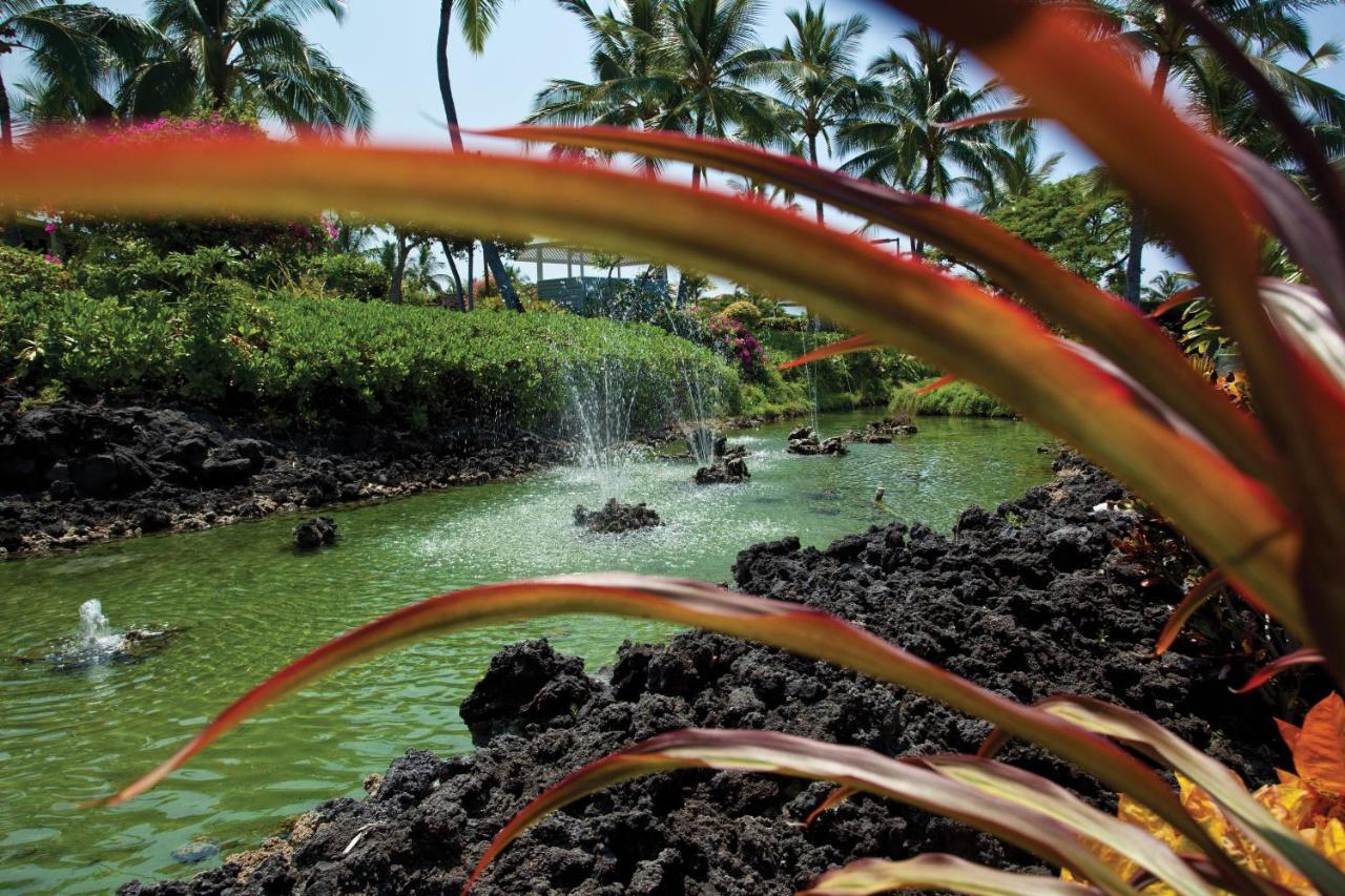Resort Holua