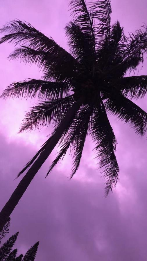 Hawaii Island 2*