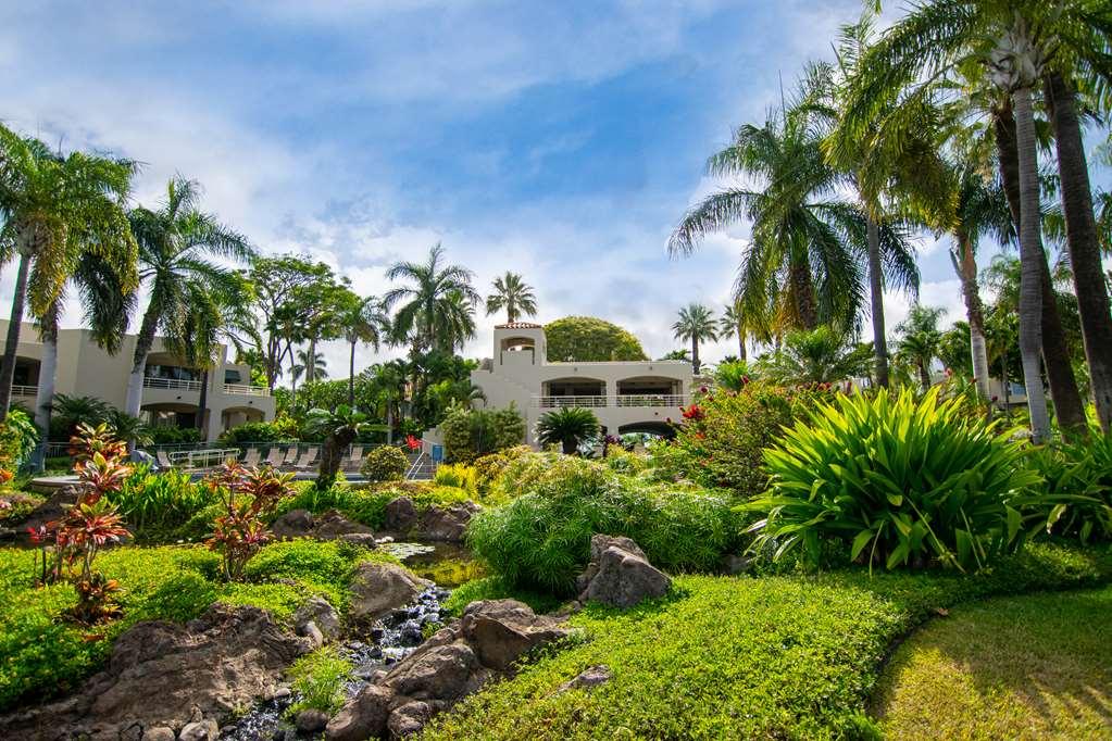 Apartment Palms At